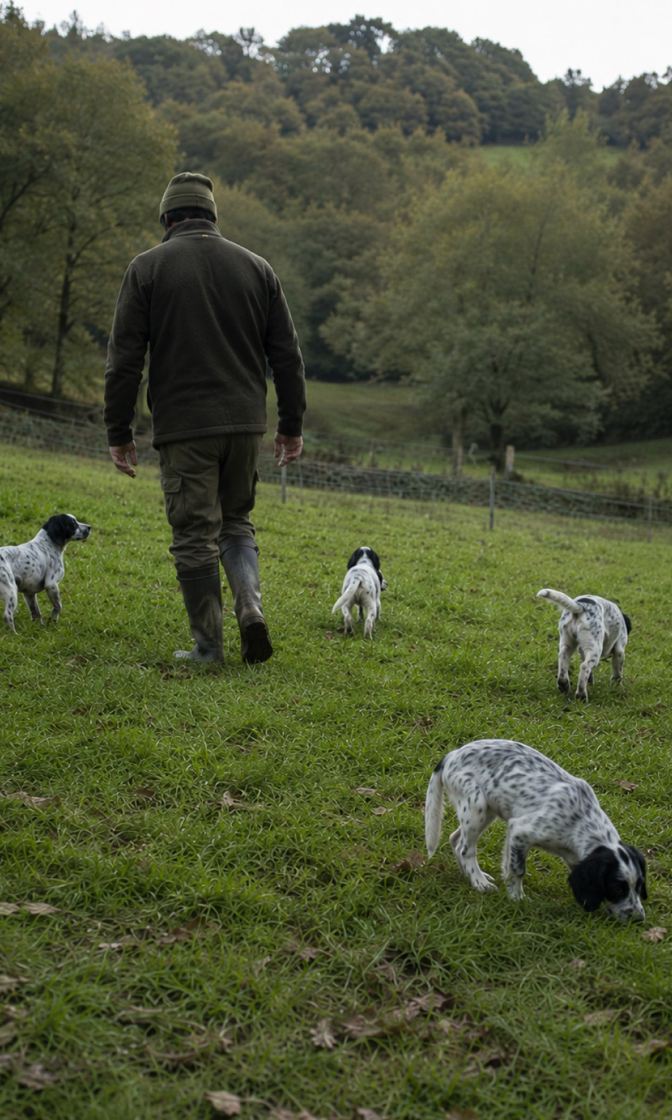 Allevatore di cani da caccia