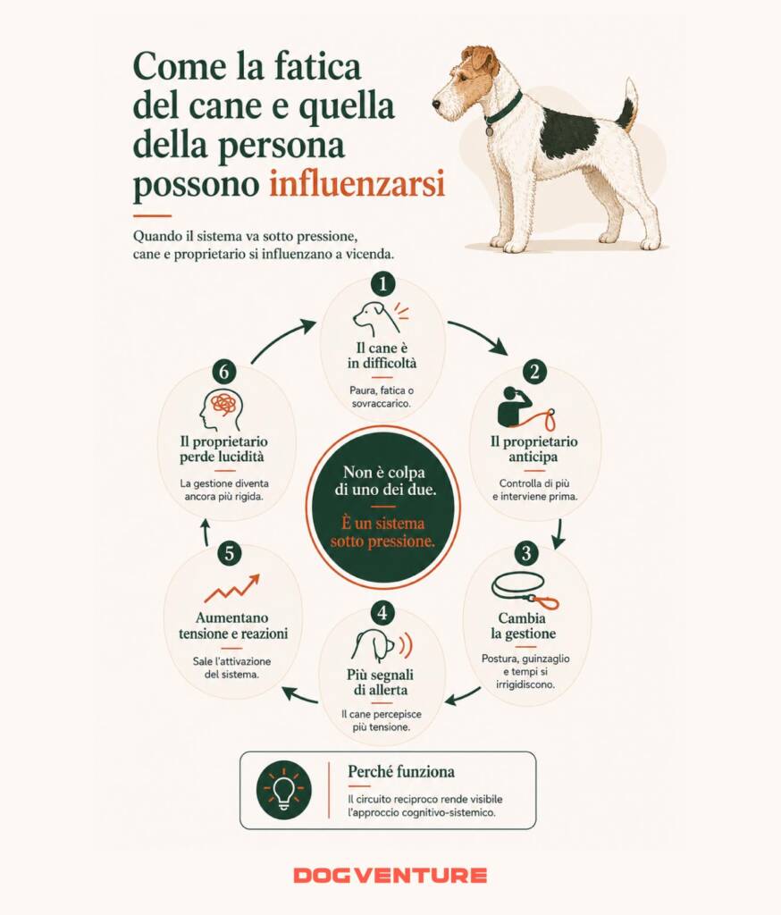 Diagramma circolare su come la fatica del cane e quella del proprietario possono influenzarsi, aumentando tensione, controllo, segnali di allerta e rigidità nella gestione.