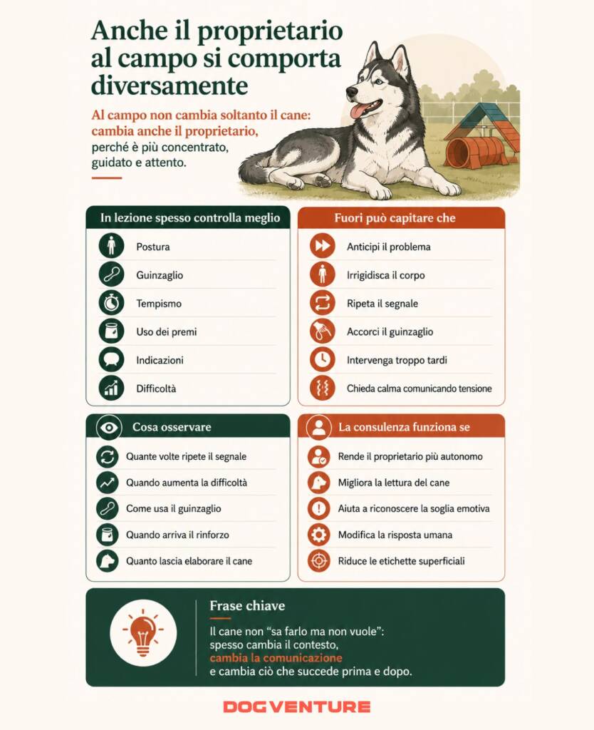 Infografica su come il proprietario cambia comportamento tra campo cinofilo e vita quotidiana, influenzando comunicazione, guinzaglio, tempismo e risposta del cane.