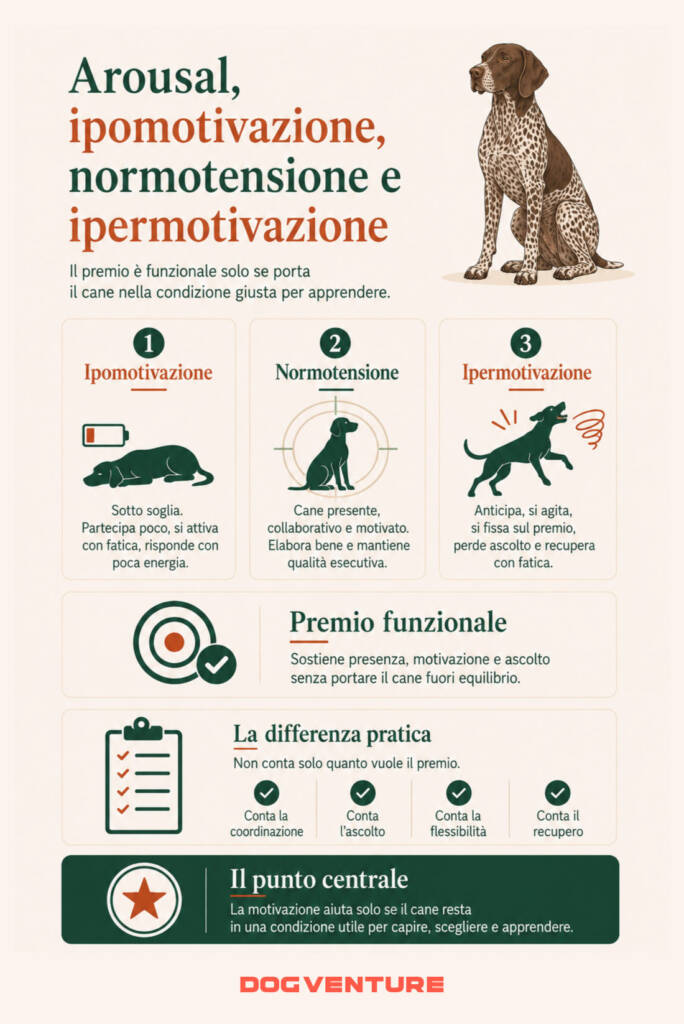 Infografica sulle soglie motivazionali nel cane, con confronto tra ipomotivazione, normotensione e ipermotivazione per scegliere un premio funzionale all’apprendimento.