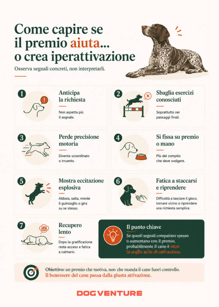 Segnali per capire se il premio crea iperattivazione nel cane, osservando anticipazione, perdita di precisione, recupero e controllo durante il lavoro.