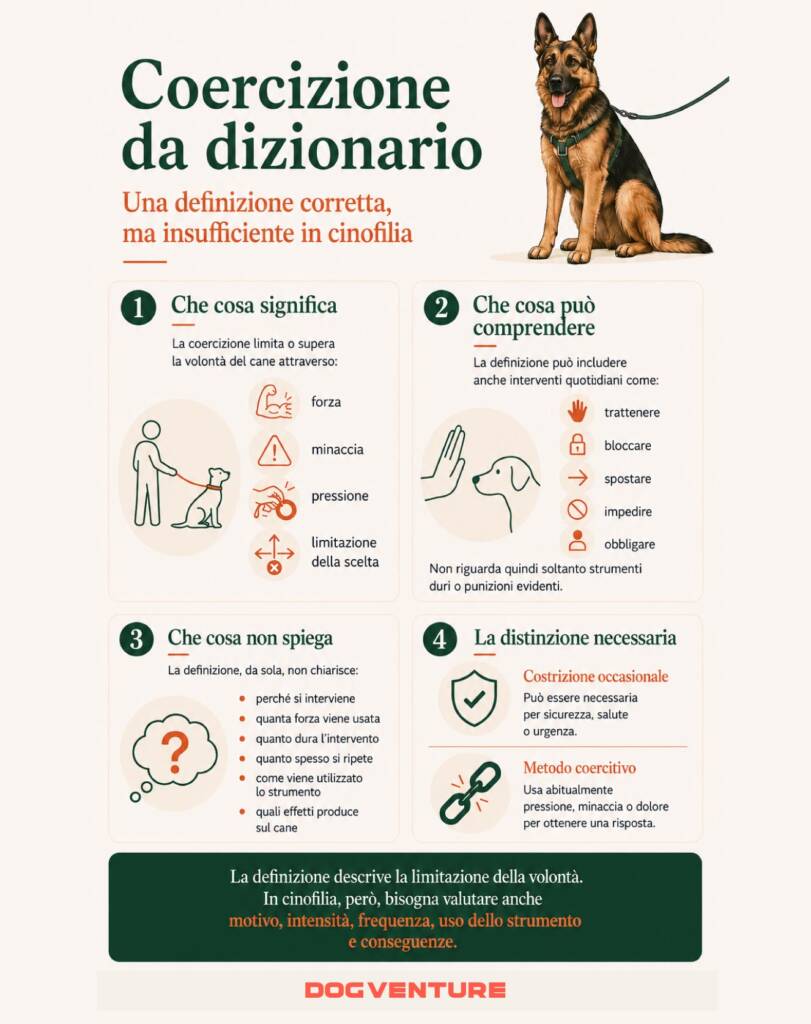 Infografica che spiega il significato della coercizione nella relazione con il cane, confrontando la definizione del dizionario con il suo utilizzo in cinofilia e distinguendo tra costrizione occasionale, metodo coercitivo, intensità, frequenza e conseguenze dell'intervento.