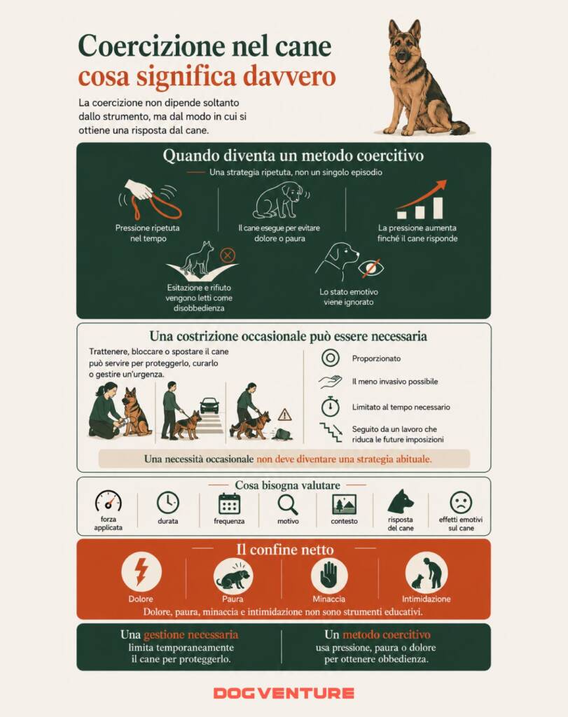 Infografica che spiega il significato della coercizione nel cane, con definizione, situazioni in cui può comparire, criteri per valutarla e comportamenti che non devono mai far parte dell'educazione.