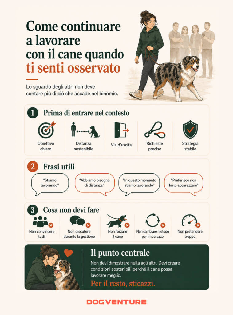 Schema illustrato su come lavorare con il cane quando ti senti osservato, preparando il contesto, mantenendo una strategia stabile e ignorando il giudizio esterno.
