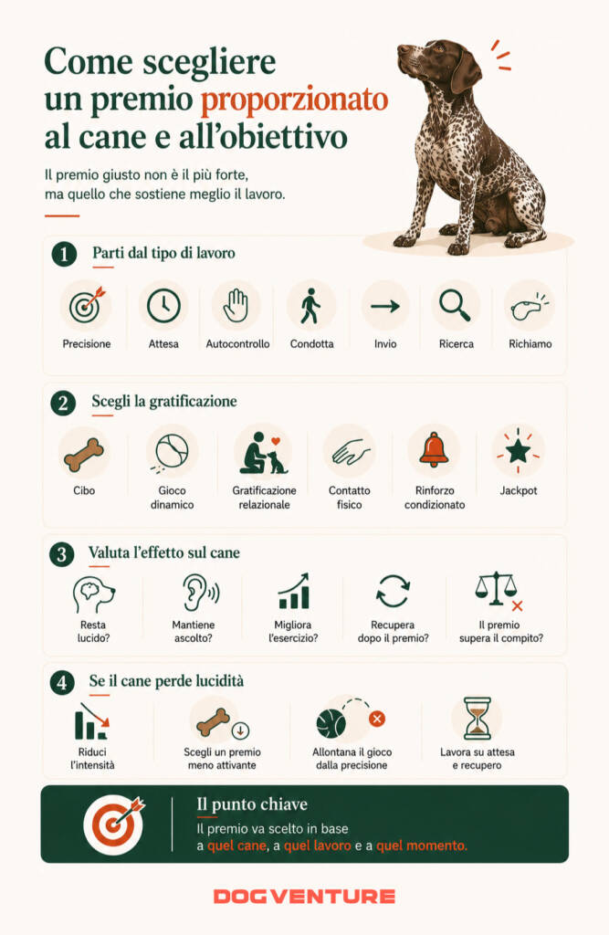 Come scegliere un premio proporzionato al cane e all'obiettivo, con guida pratica per valutare tipo di lavoro, gratificazione, livello di attivazione e recupero del cane.
