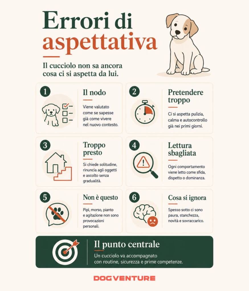Errori di aspettativa nel cucciolo, con focus su pretese premature, letture sbagliate del comportamento, paura, stanchezza e bisogno di routine.