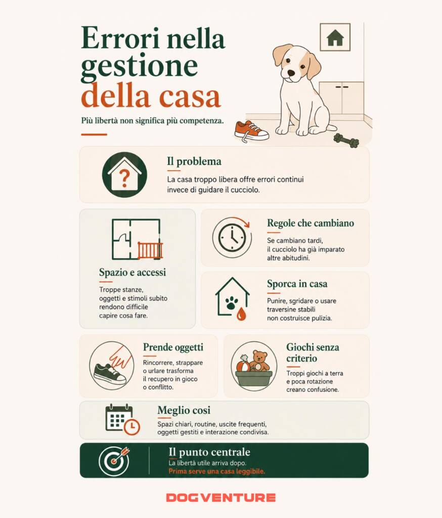 Gestione della casa con il cucciolo, con errori su spazi, accessi, pulizia, oggetti, giochi e costruzione di routine leggibili.