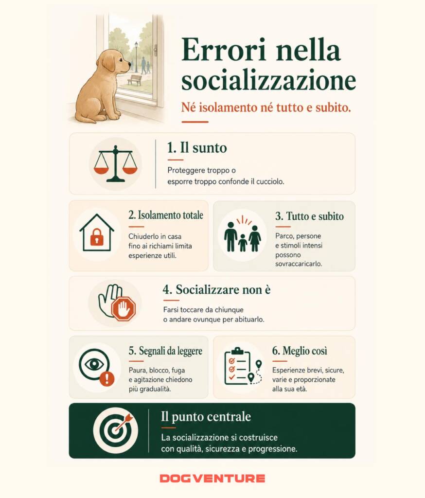 Riposo del cucciolo e gestione dell’attivazione, con errori su sonno interrotto, troppi stimoli, falsa calma e routine più equilibrate.