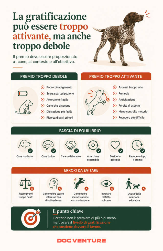 Gratificazione troppo attivante o troppo debole nel cane, con confronto tra premio insufficiente, iperattivazione e livello ottimale per apprendimento e motivazione.