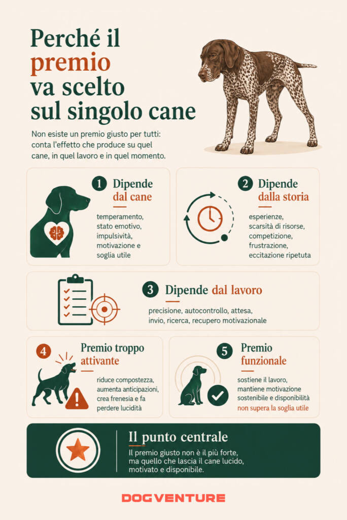 Scelta del premio nel cane, con approfondimento su motivazione, stato emotivo, storia individuale, tipo di lavoro e rinforzo funzionale.