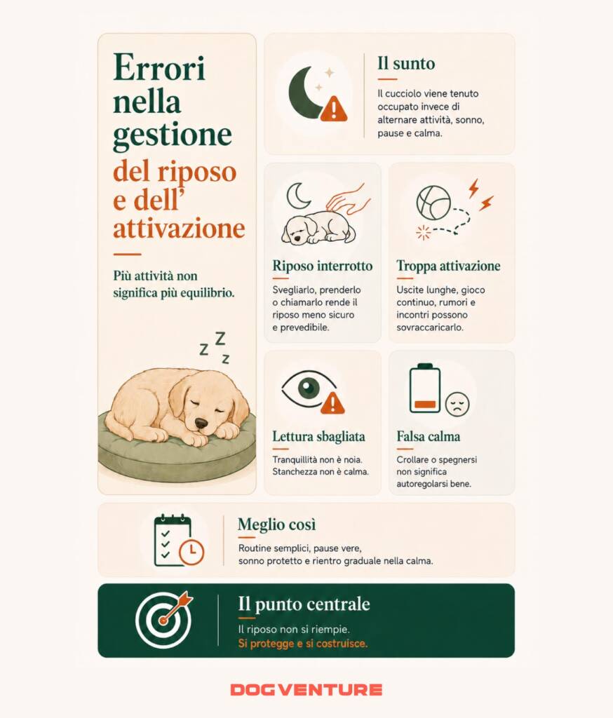 Riposo del cucciolo e gestione dell’attivazione, con errori su sonno interrotto, troppi stimoli, falsa calma e routine più equilibrate.