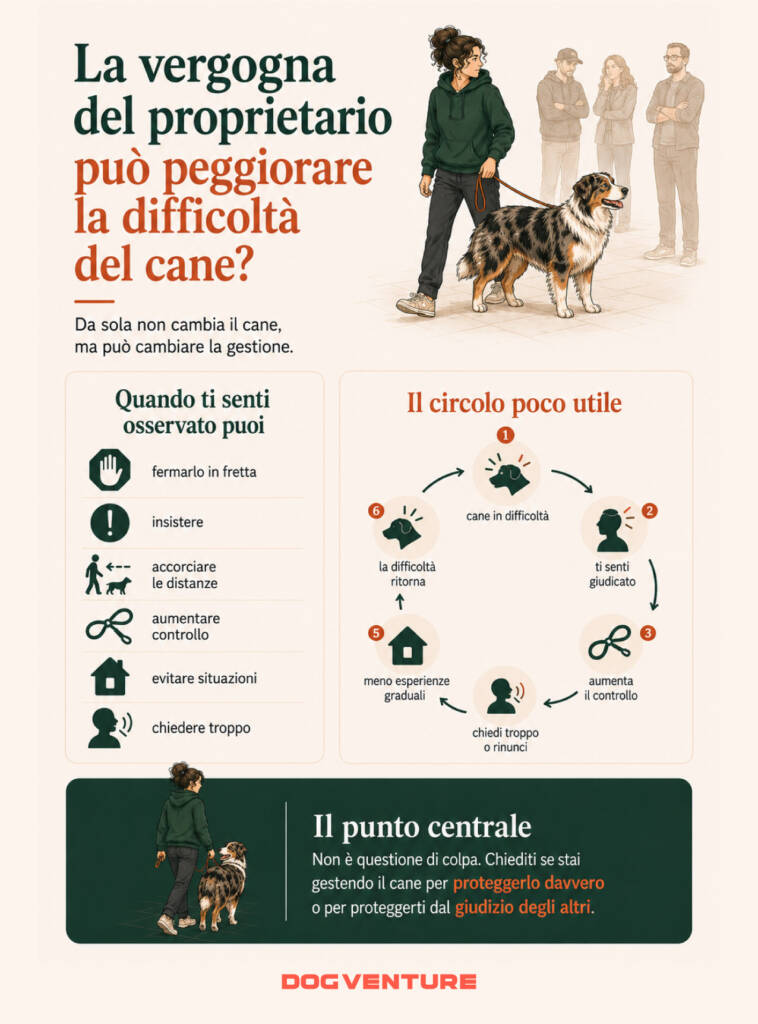 Diagramma sul circolo tra vergogna del proprietario, aumento del controllo, richieste eccessive e difficoltà ricorrenti del cane.