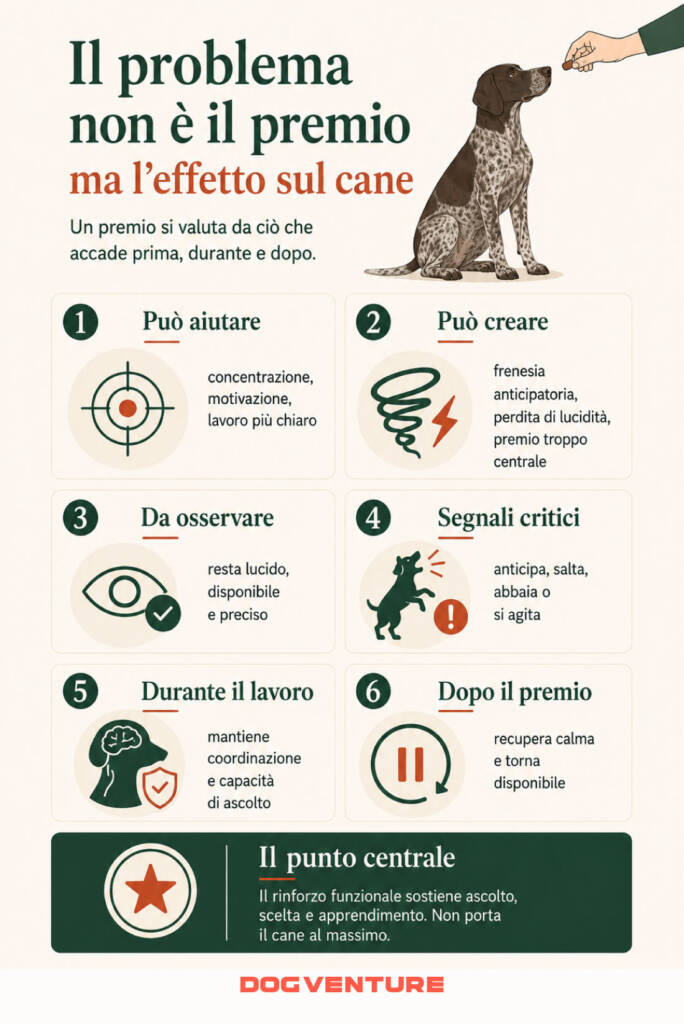 Premio nel cane e rinforzo funzionale, con focus su concentrazione, frenesia, lucidità, recupero e qualità dell’apprendimento.