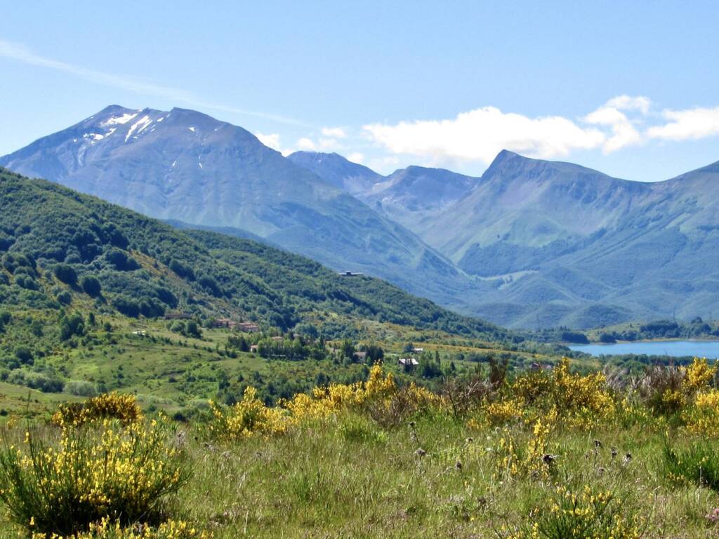 Monte Cardito