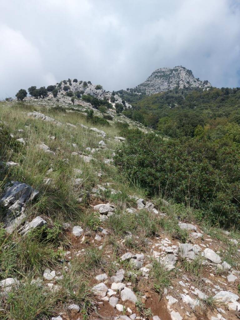Monte Erbano