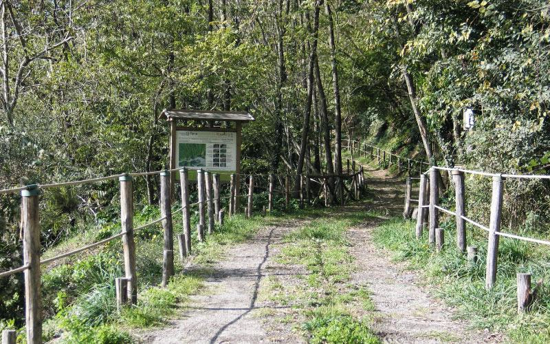 foto Monte Somma e Punta Nasone