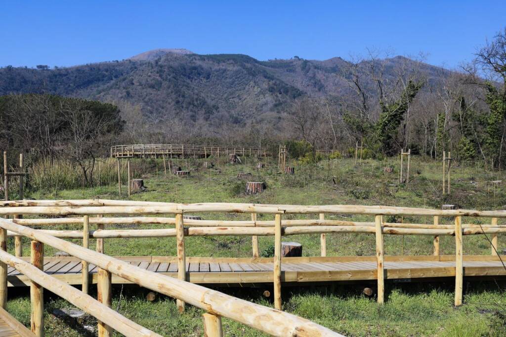 foto Pineta di Terzigno