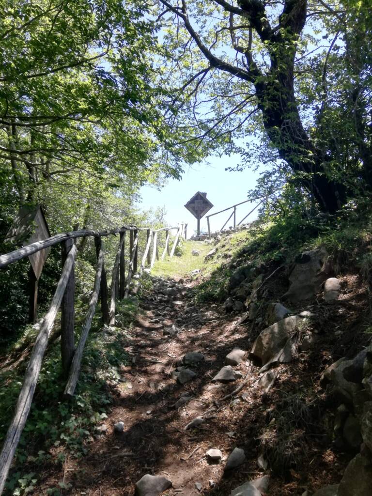 pizzo alto