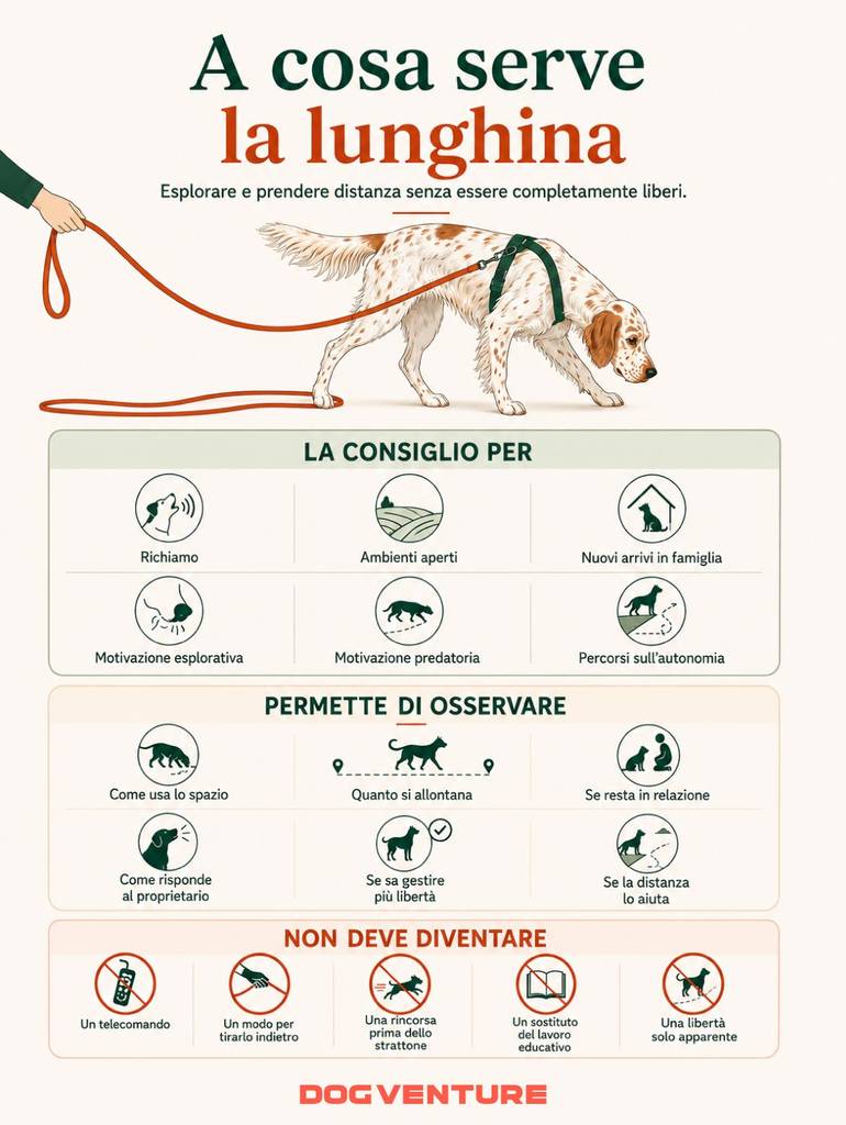Guida visiva sull’uso della lunghina con il cane per favorire esplorazione, distanza e autonomia, osservando come gestisce lo spazio e la relazione con il proprietario.