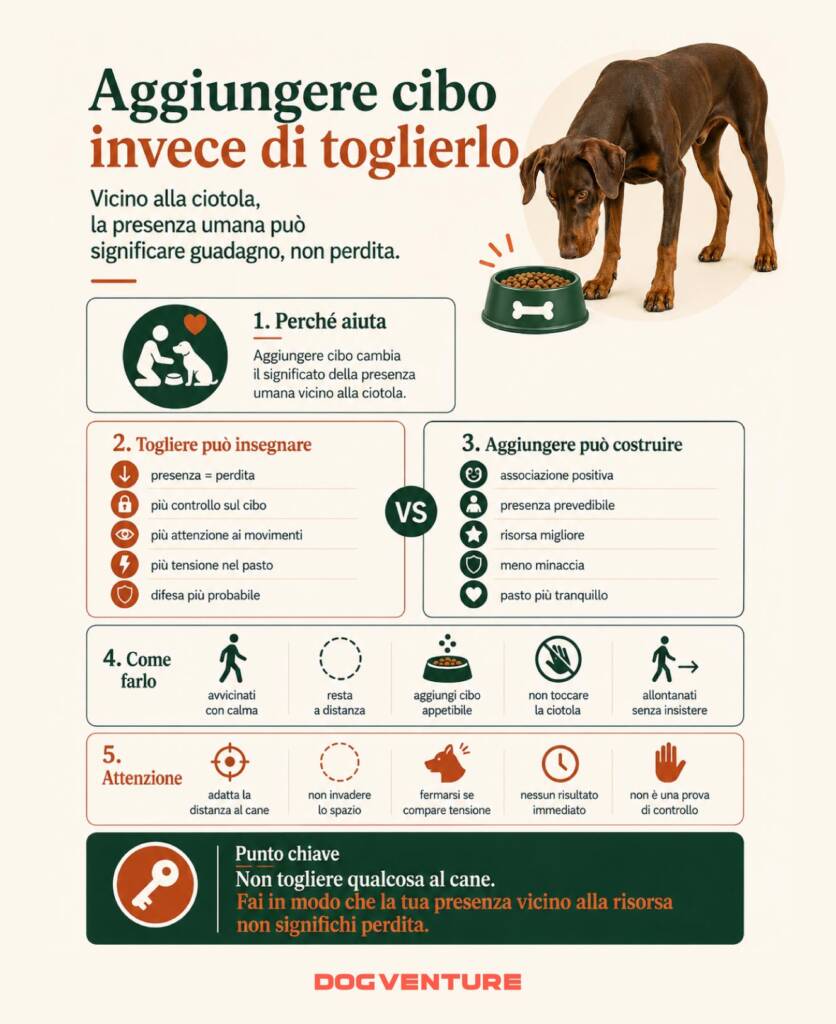 Infografica su come aggiungere cibo alla ciotola può aiutare nella gestione della difesa delle risorse, associando la presenza umana a un possibile guadagno invece che alla perdita.