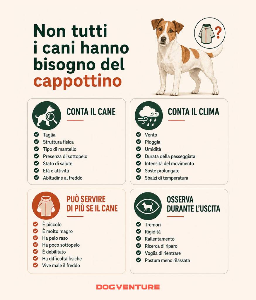 Infografica sui cappottini per cani che mostra quali caratteristiche del cane e condizioni climatiche valutare per capire se il cappottino è davvero necessario.