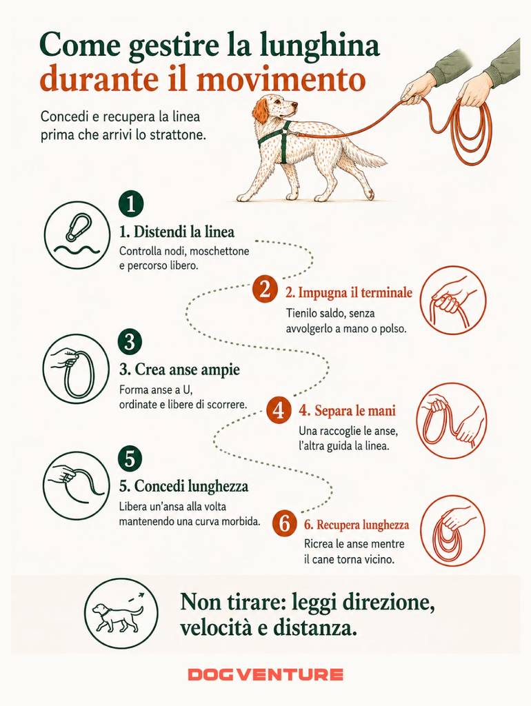 Guida illustrata alla gestione della lunghina durante il movimento del cane, con passaggi per concedere e recuperare la linea evitando strattoni e tensione.