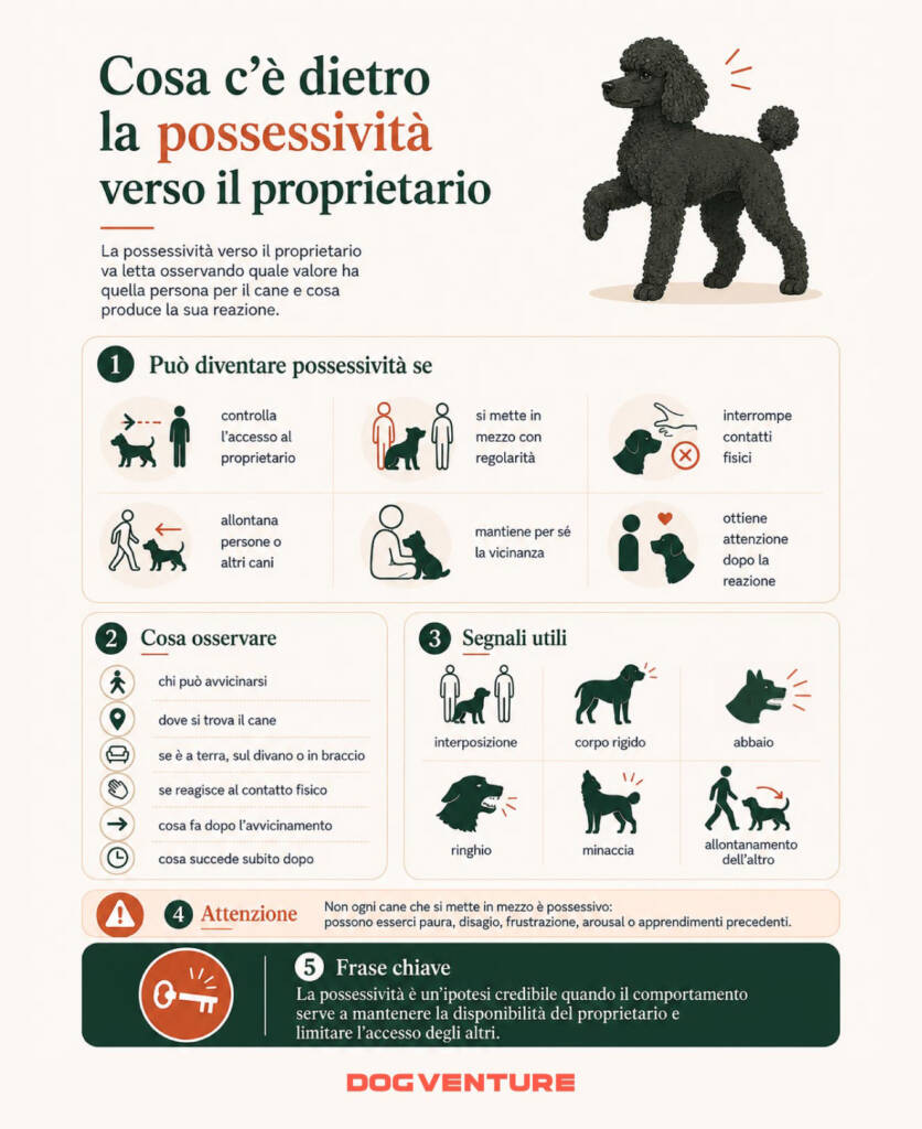 Mappa concettuale sulla possessività del cane verso il proprietario, con segnali da osservare, controllo dell’accesso, interposizione e allontanamento di persone o altri cani.