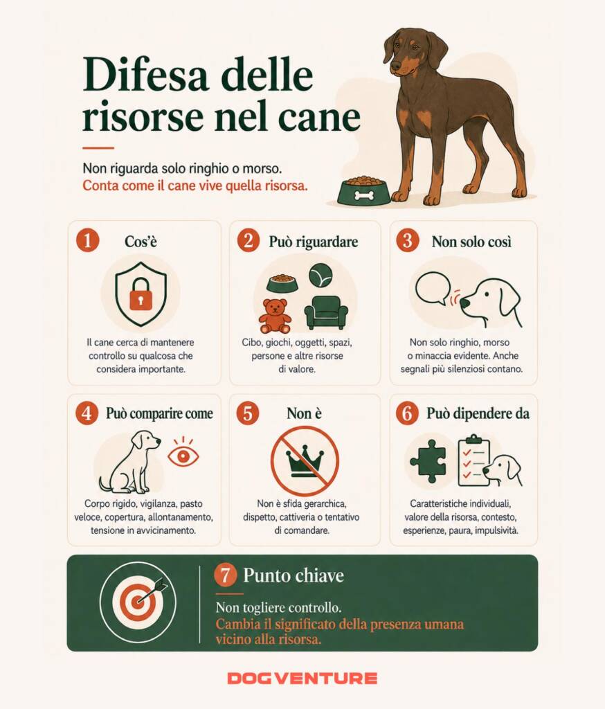 Infografica sulla difesa delle risorse nel cane, con segnali, possibili risorse coinvolte, fattori individuali e indicazioni per gestire l’avvicinamento senza aumentare la tensione.