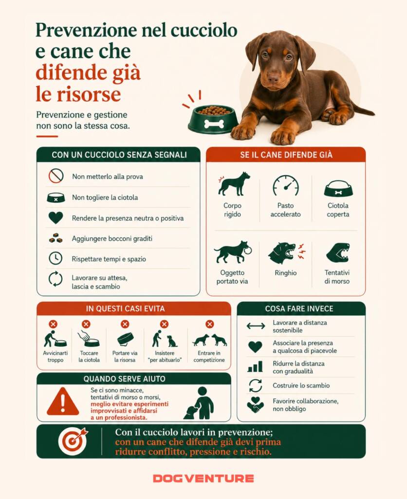 Infografica sulla prevenzione della difesa delle risorse nel cucciolo e sulla gestione del cane che mostra già segnali di guarding, con comportamenti da evitare e strategie basate su distanza, gradualità e scambio.
