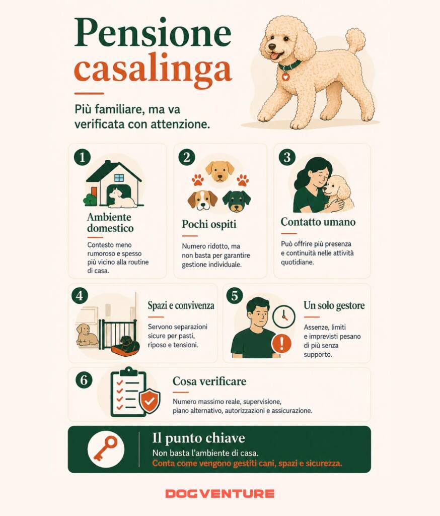 Infografica sulla pensione casalinga per cani, con vantaggi, limiti e aspetti da verificare nella gestione degli ospiti, degli spazi e della sicurezza.