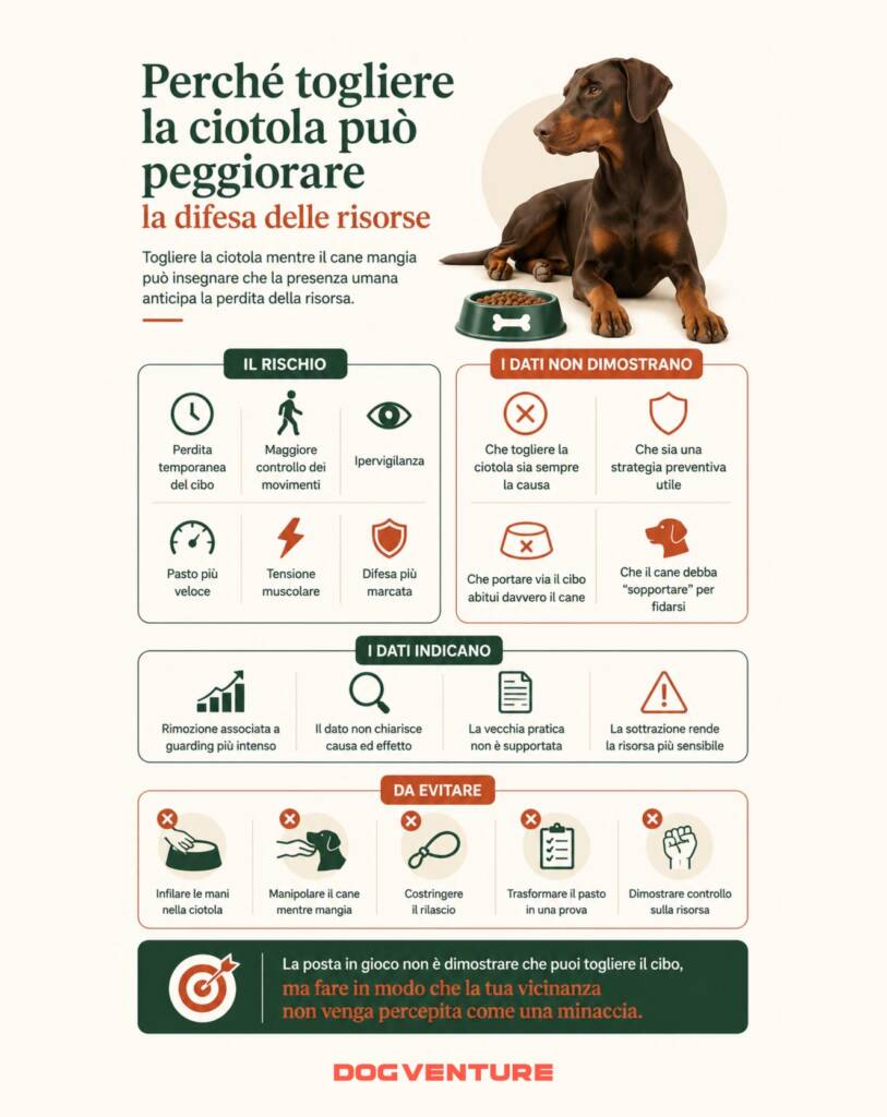 Infografica sul perché togliere la ciotola mentre il cane mangia può peggiorare la difesa delle risorse, aumentando vigilanza, tensione e sensibilità alla sottrazione del cibo.