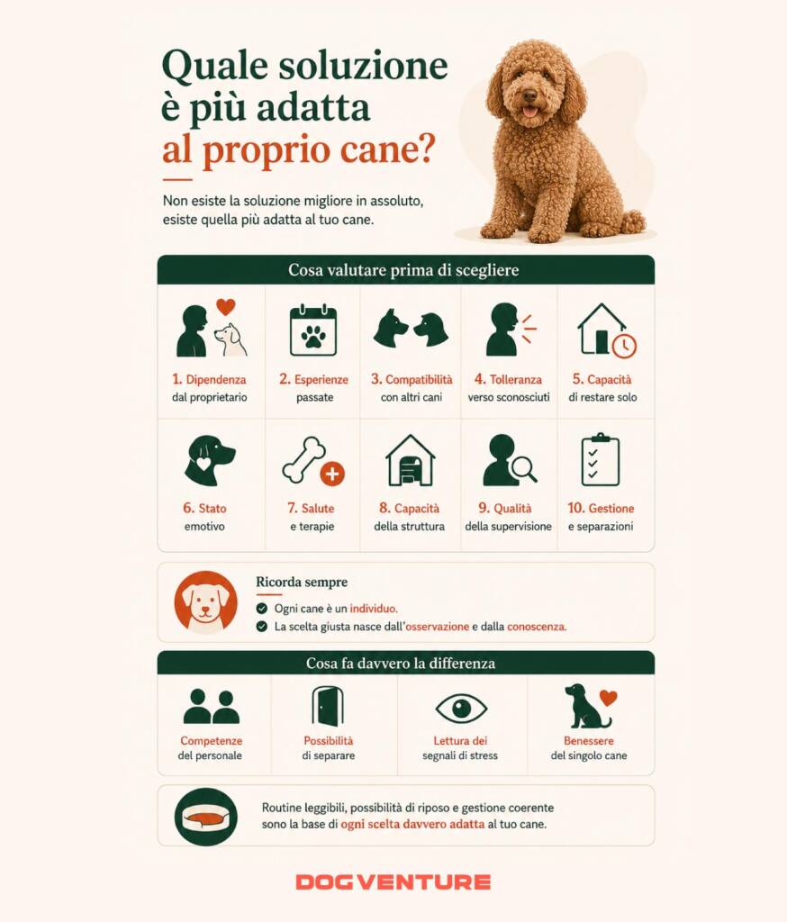 Infografica sui criteri per scegliere la soluzione di pensione più adatta al cane, considerando dipendenza dal proprietario, esperienze, compatibilità, salute, supervisione e qualità della gestione.