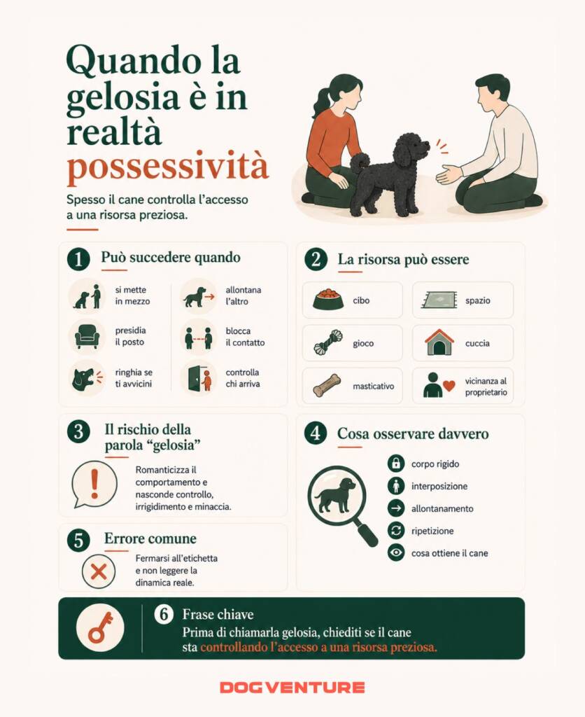 Tavola illustrativa sulla possessività nel cane, con esempi di controllo dell’accesso a risorse come cibo, spazio, giochi, cuccia e vicinanza al proprietario.
