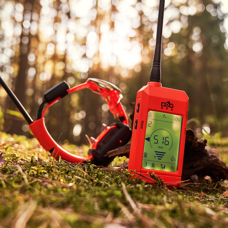 sistema di localizzazione GPS con collegamento radio Dogtrace, composto dal collare trasmettitore e dal ricevitore portatile, appoggiati sul terreno in un ambiente boschivo.