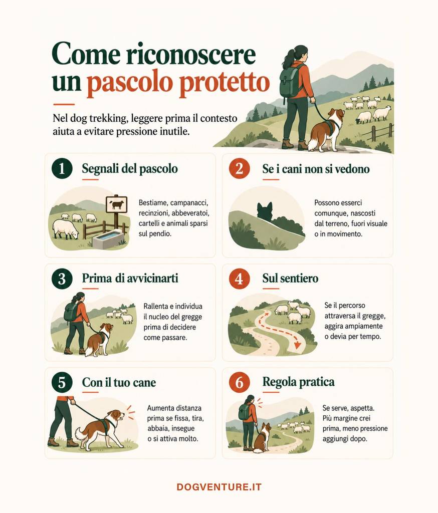 Rappresentazione visiva dei segnali per riconoscere un pascolo protetto durante un dog trekking