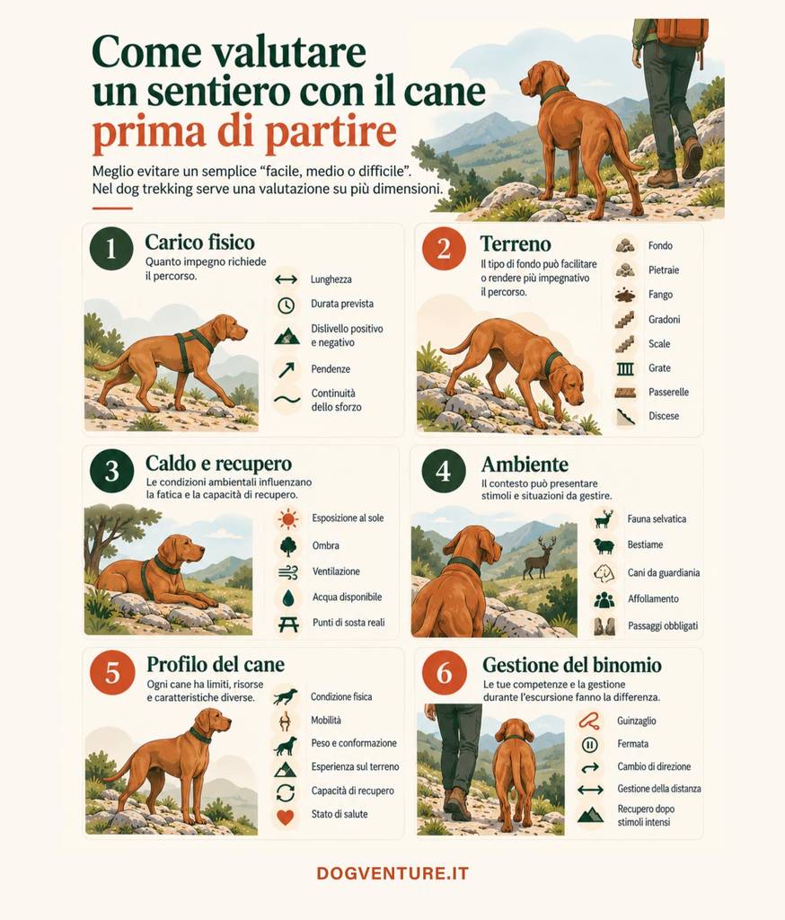Infografica per valutare un sentiero con il cane considerando carico fisico, terreno, ambiente e caratteristiche del cane