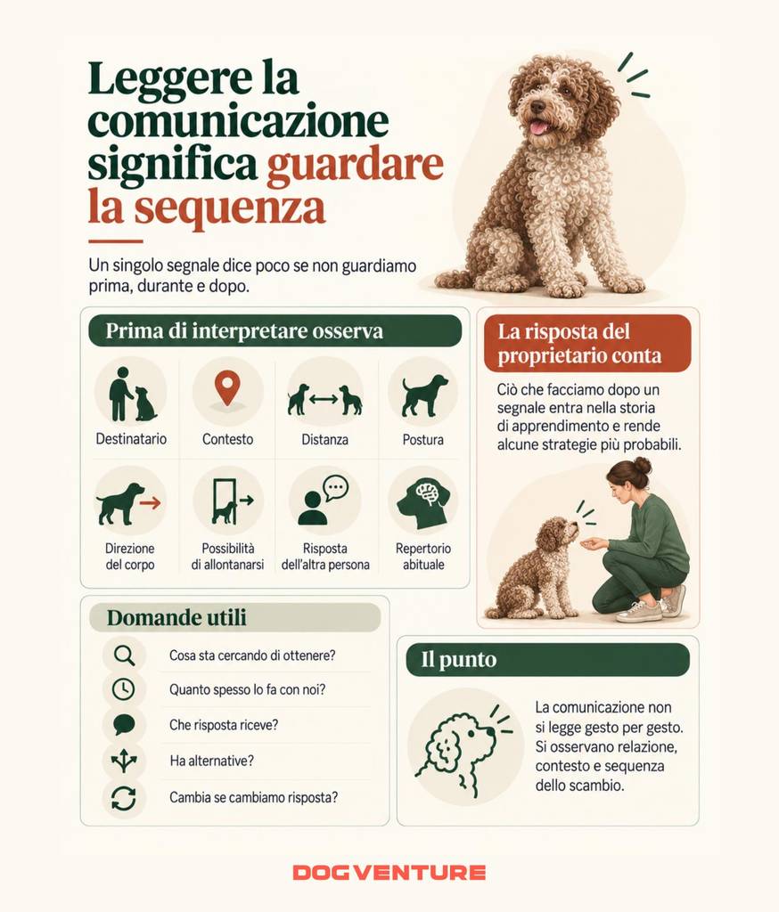 Schema per leggere la comunicazione del cane osservando contesto, distanza, postura, destinatario e sequenza dello scambio con il proprietario