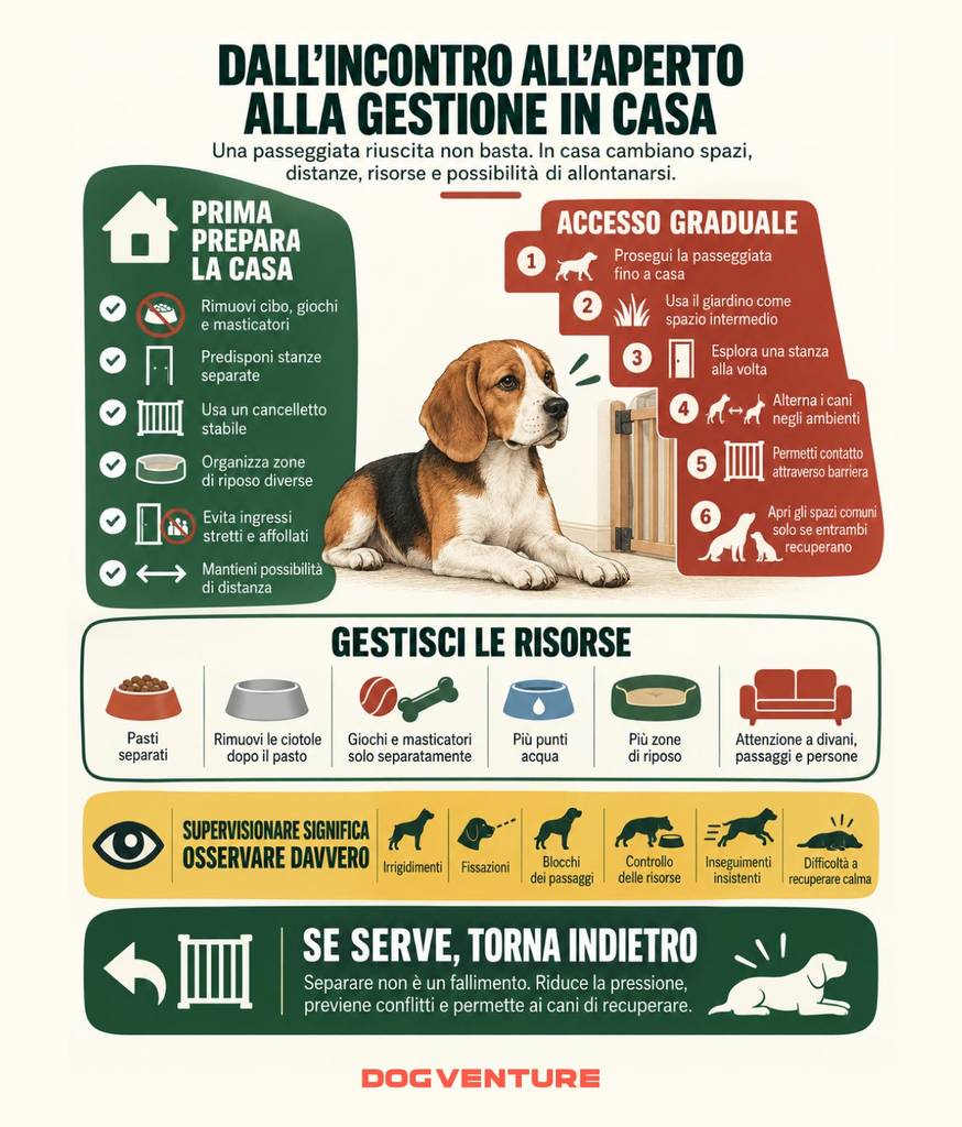 Visualizzazione sulla gestione di due cani in casa dopo il primo incontro, con preparazione degli spazi, accesso graduale, gestione delle risorse e segnali da osservare durante la convivenza.