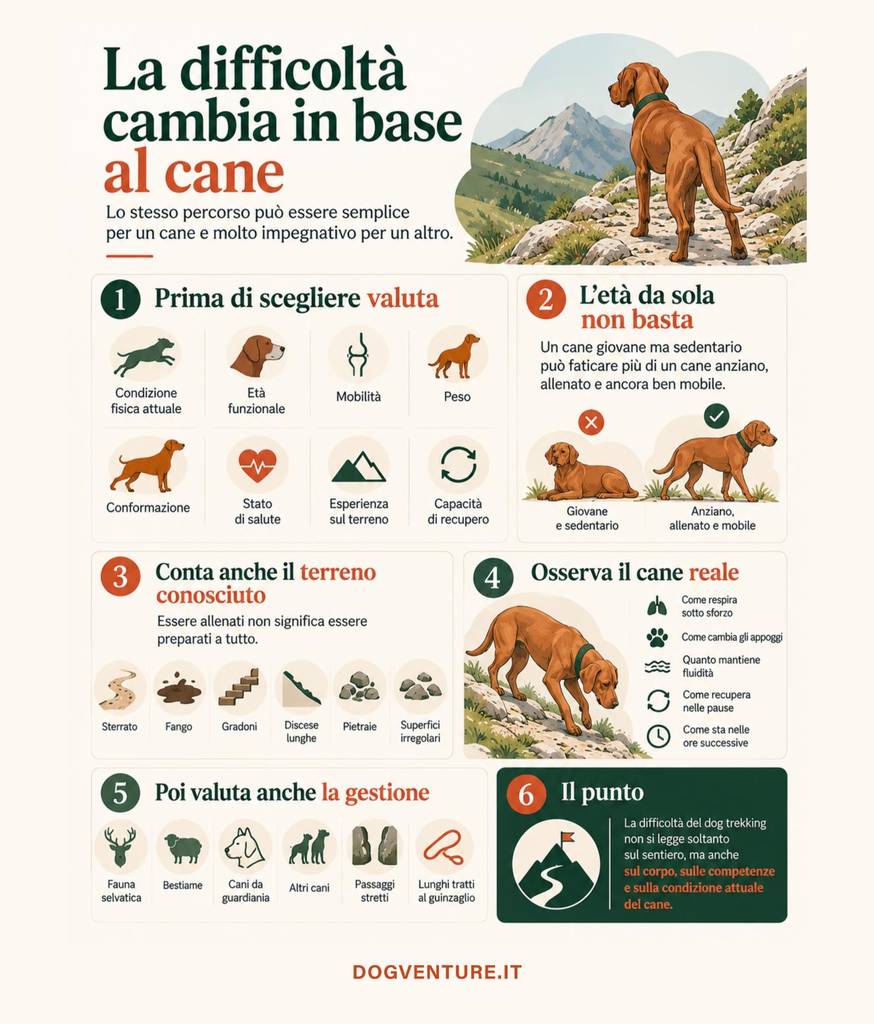 Mappa concettuale dei fattori che determinano la difficoltà di un percorso di dog trekking per il cane