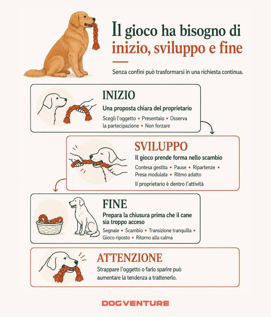 gioco con il cane organizzato in inizio, sviluppo e fine, con indicazioni per gestire lo scambio, chiudere l’attività e favorire il ritorno alla calma.