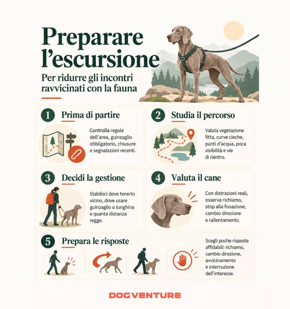 Infografica sulla preparazione alle escursioni con il cane per ridurre gli incontri ravvicinati con la fauna selvatica