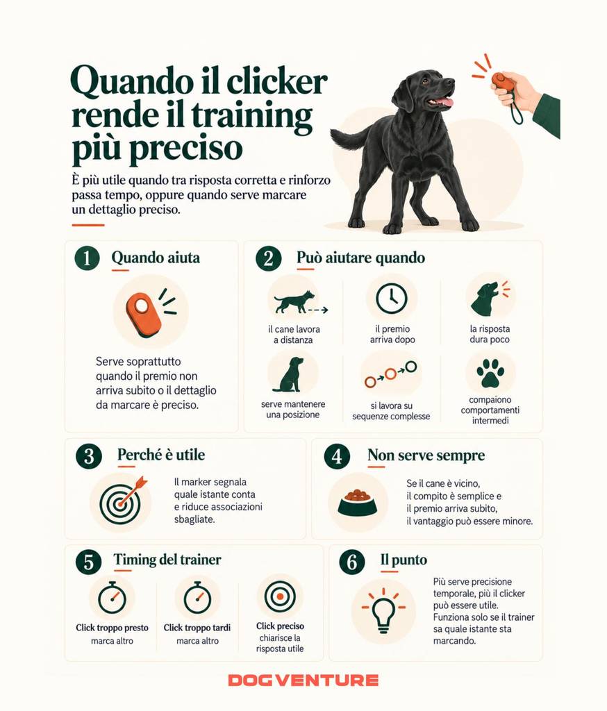 Infografica su quando usare il clicker con il cane per rendere più preciso il training e il timing del rinforzo