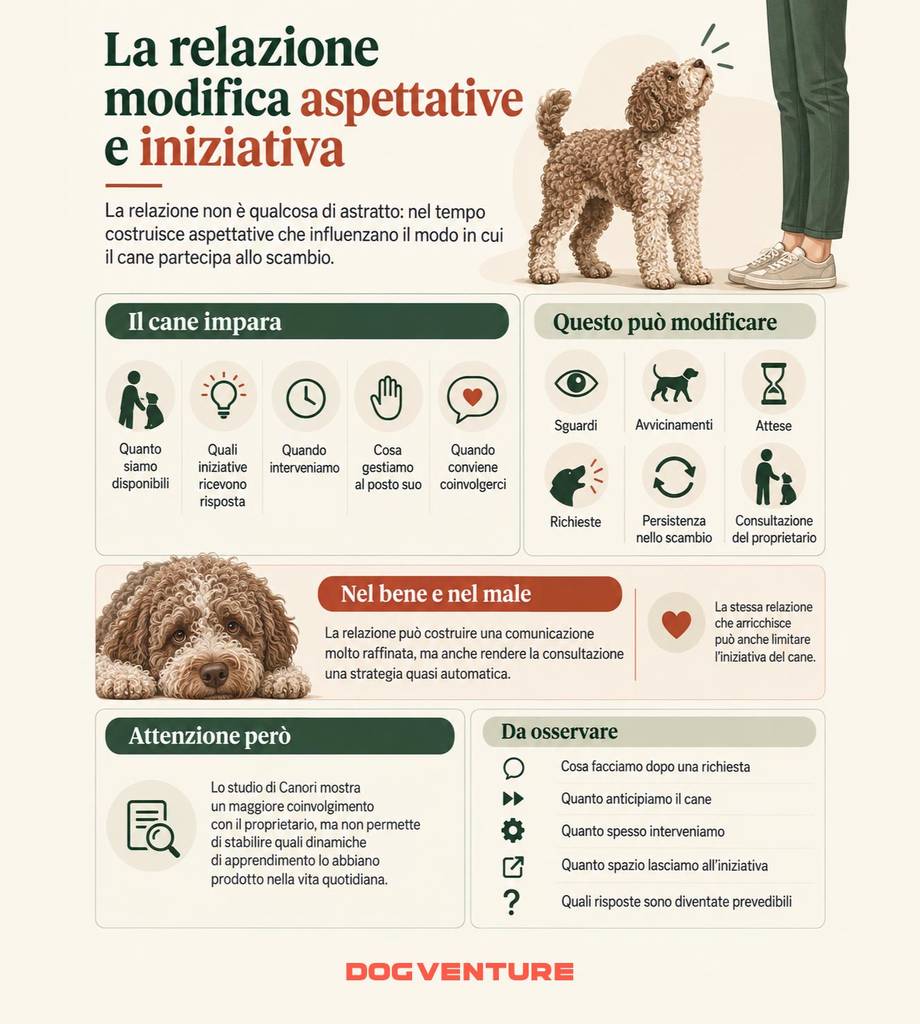 Schema sulla relazione cane proprietario e su come le interazioni nel tempo possono modificare aspettative, iniziativa e partecipazione del cane