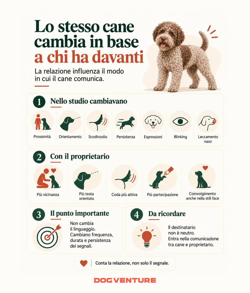 Infografica sulla relazione cane proprietario e su come cambiano i segnali comunicativi del cane in base alla persona