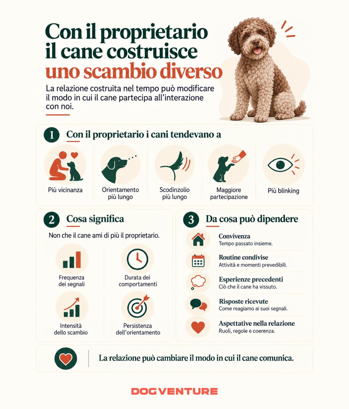Infografica sulla relazione tra cane e proprietario e sulle differenze nella comunicazione, nella vicinanza e nella partecipazione all’interazione