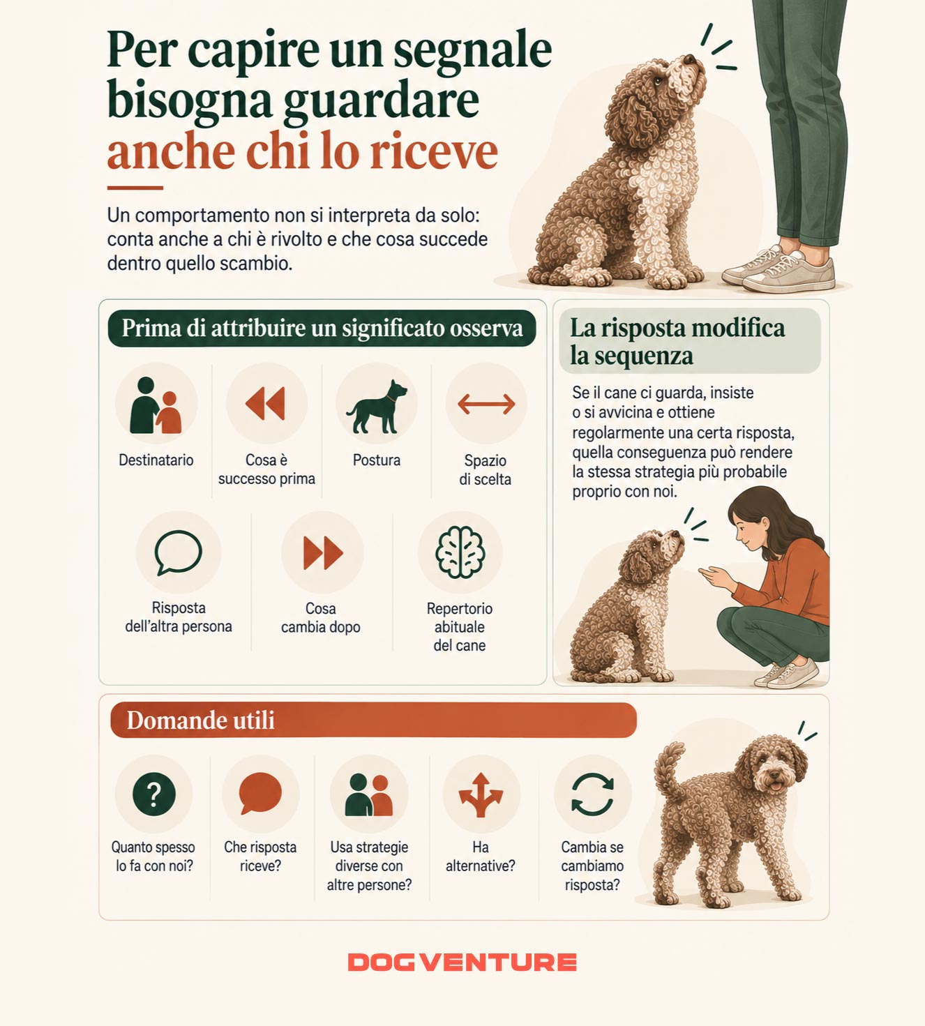 Visualizzazione della comunicazione del cane che mostra come interpretare un segnale considerando destinatario, postura, risposta ricevuta e sequenza dello scambio