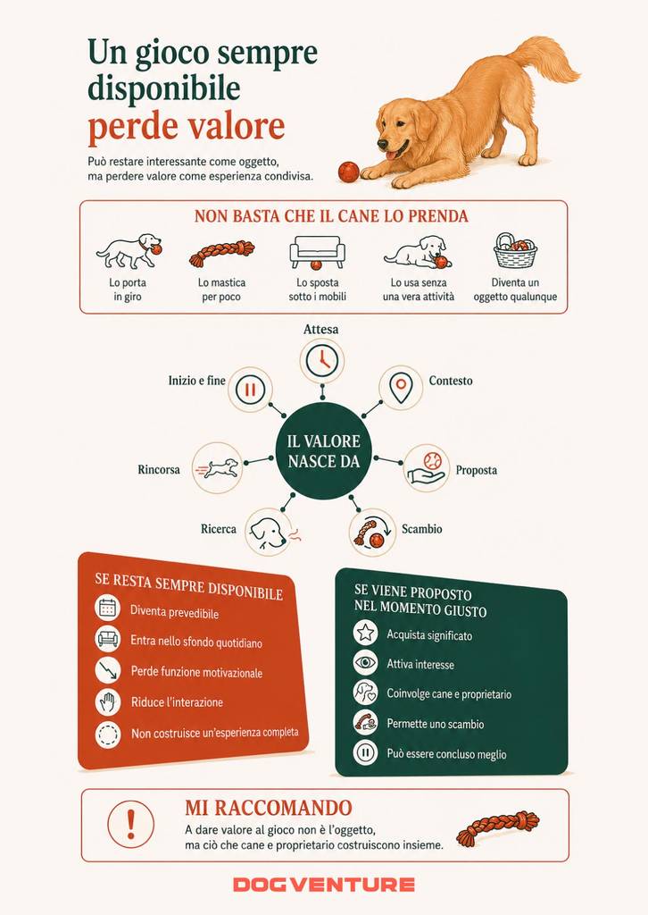 Visualizzazione sul valore del gioco per il cane, con differenze tra disponibilità continua e proposta condivisa nel momento giusto insieme al proprietario.