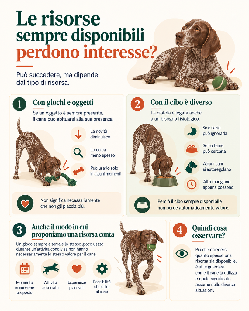 Infografica sul valore delle risorse sempre disponibili per il cane, con esempi di giochi, oggetti e cibo. Illustra come abitudine, bisogni fisiologici, contesto ed esperienze influenzino l'interesse del cane verso una risorsa.
