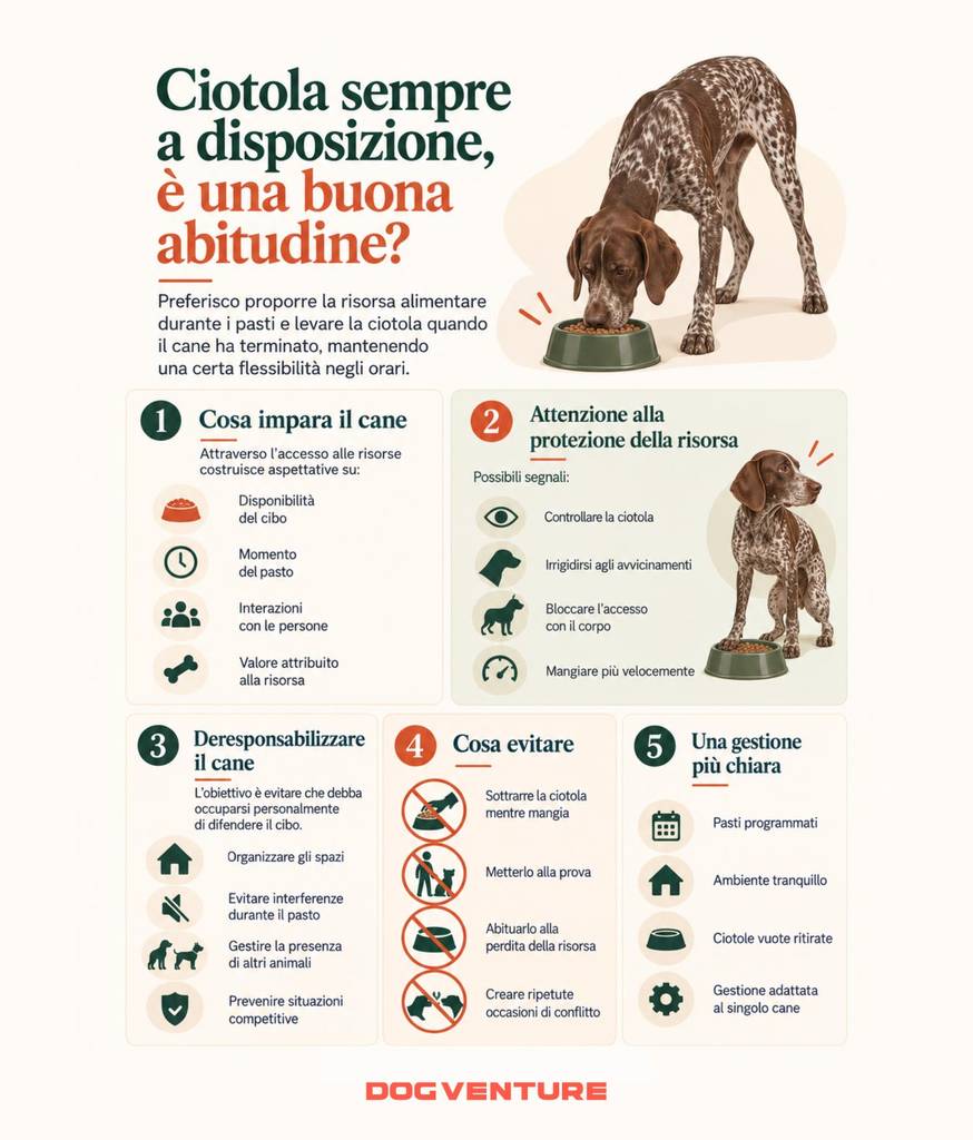 Infografica sulla ciotola del cane sempre a disposizione, con segnali di protezione della risorsa alimentare, comportamenti da evitare e consigli per gestire i pasti in modo tranquillo e coerente.