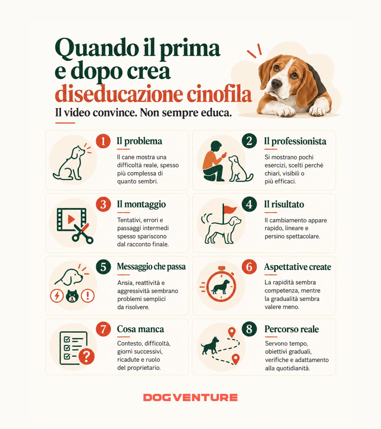Infografica sulla diseducazione cinofila nei video prima e dopo, che illustra come la selezione degli esercizi e il montaggio possano nascondere difficoltà, errori e tempi reali del percorso educativo del cane.